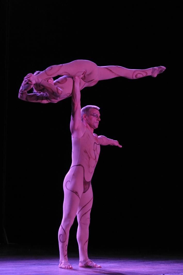 Partner acrobatics