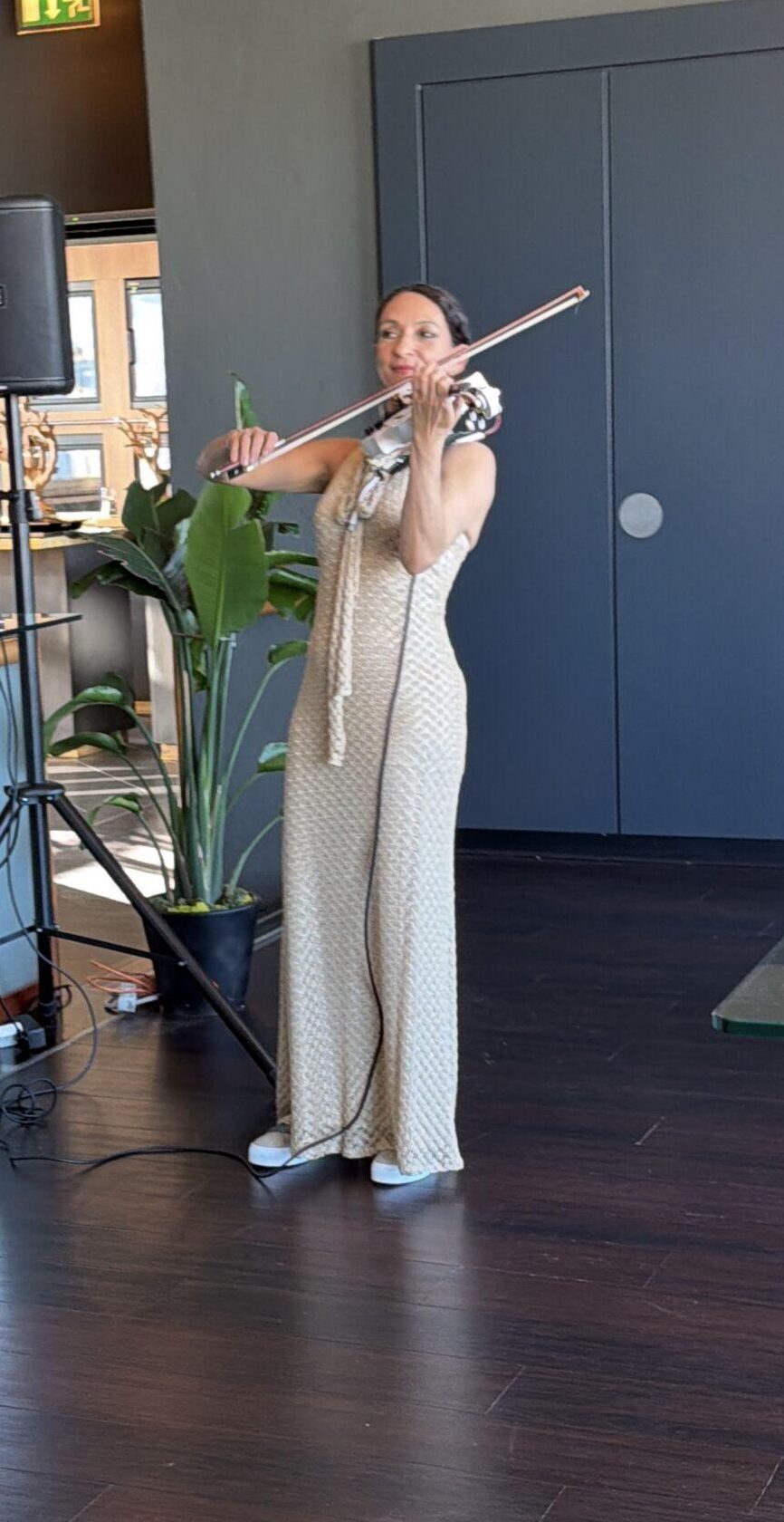 E-violinist at the exclusive Barings dinner at Hugos Berlin with international guests