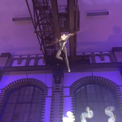 Vertical Violine