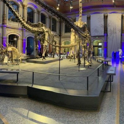 Jazz-Trio-Berlin-Naturkundemuseum