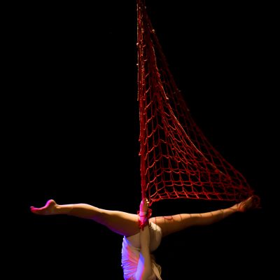 Net trapeze acrobatics